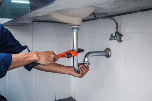 Best Toilet Repair Services  in Waterloo, IN